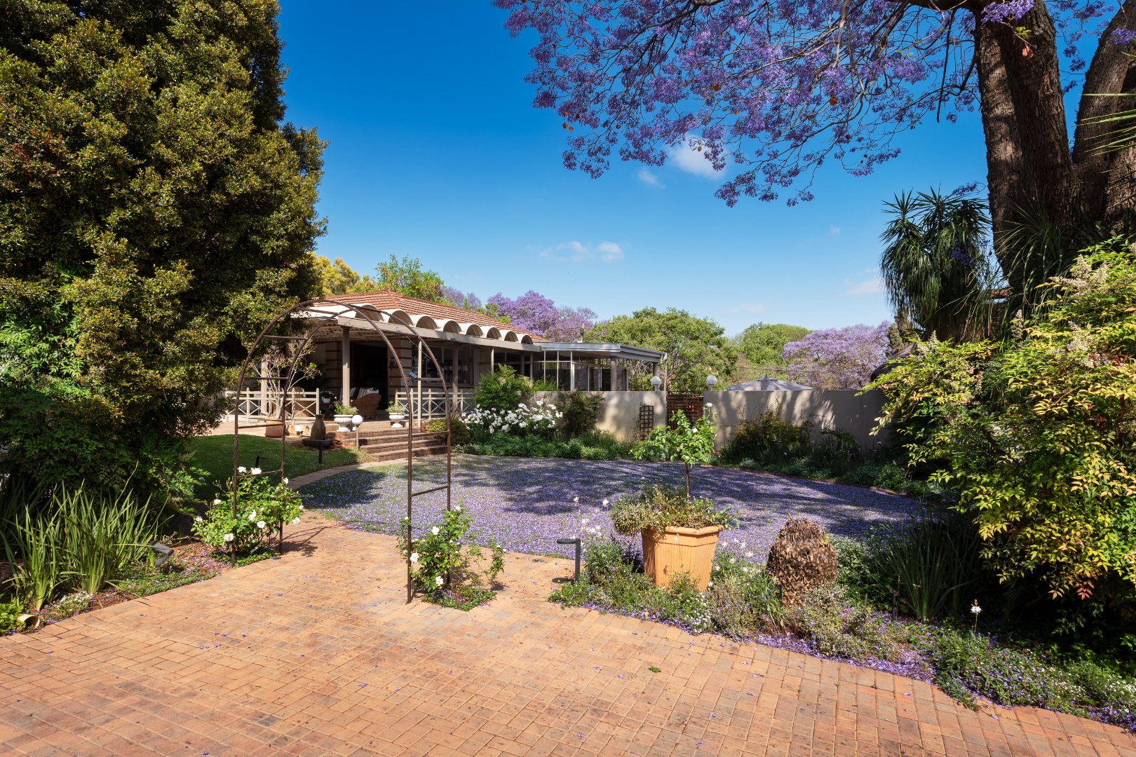 Rose arbour and jacaranda-shaded lawn