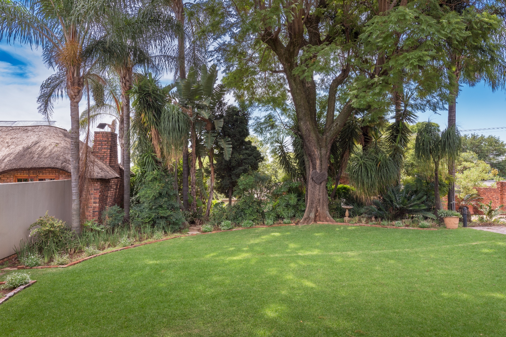 Palm-shaded garden lawn